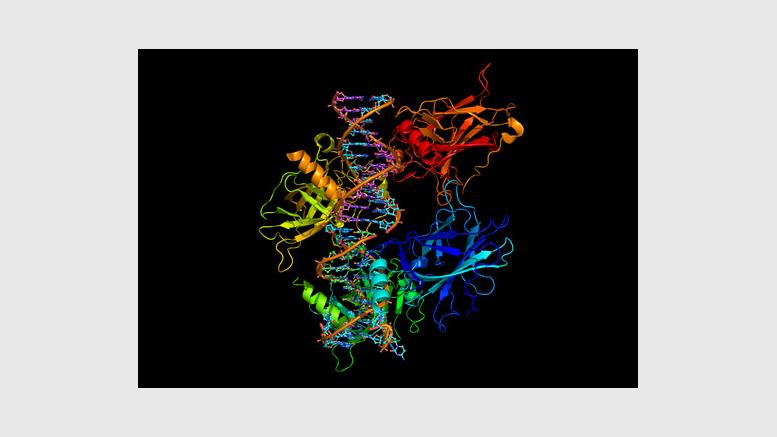 Should you mine for profit or proteins?
