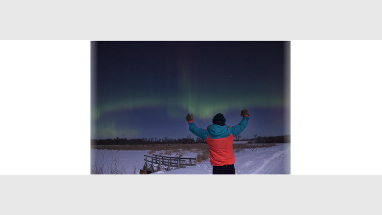 Scrutinizing Auroracoin