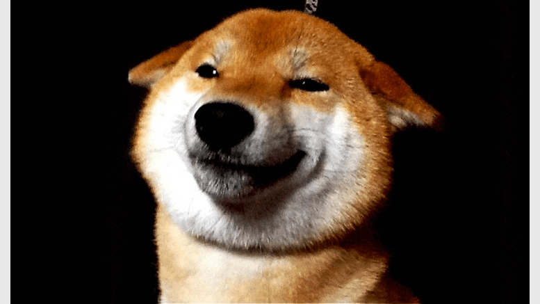 Dogecoin Is Not Going Away, And Here Is Why