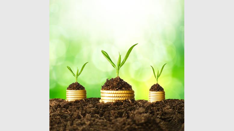 Building a Greener Bitcoin: How to Reduce Carbon Emissions