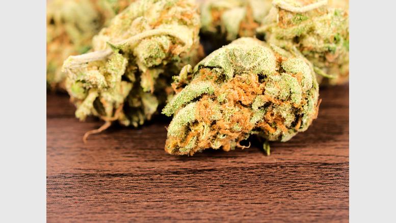 Bitcoin Processors Reconsider Marijuana Stance After New FinCEN Ruling