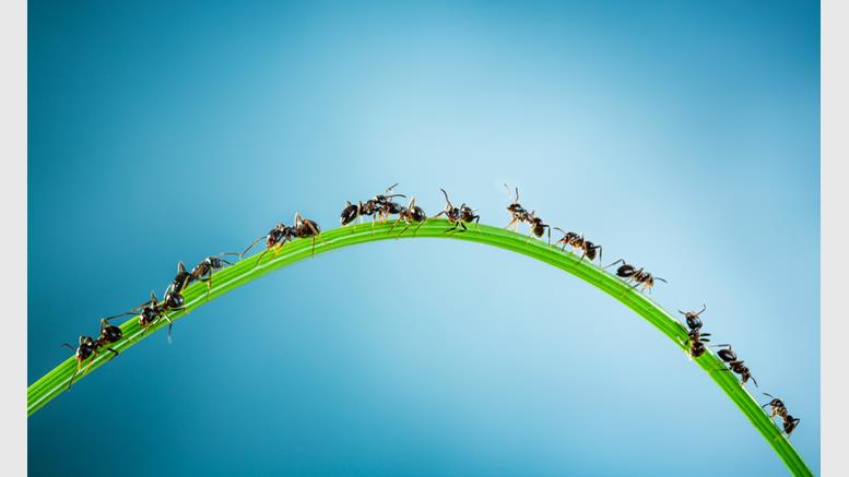 Swarm Intelligence Event is First Science Conference to Accept Bitcoin
