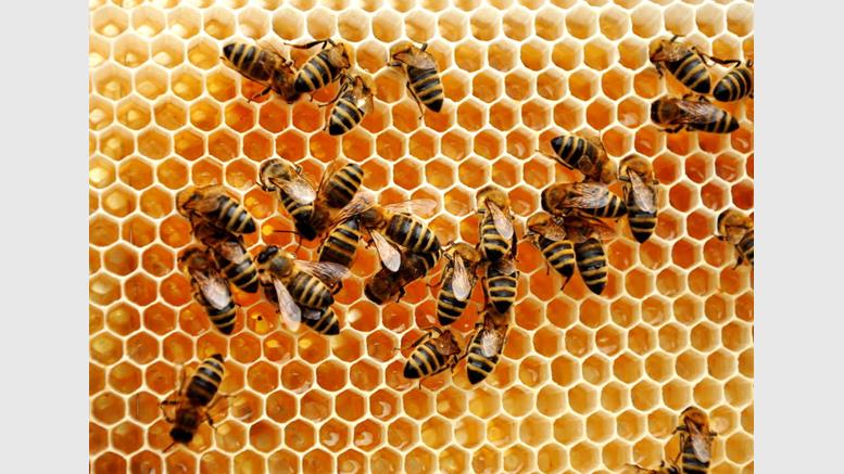 Hive's Bitcoin Wallet is out of Beta for OS X Users