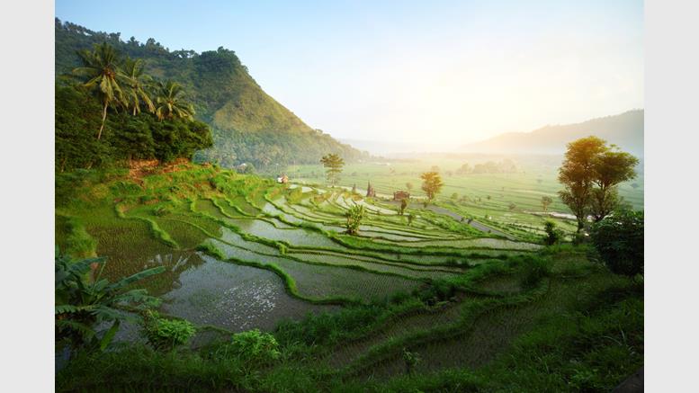 How Bitislands Plans to Turn All of Bali into 'Bitcoin Paradise'