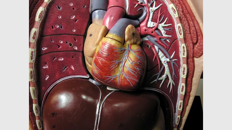 Major Security Flaw 'Heartbleed' Puts Critical Services at Risk