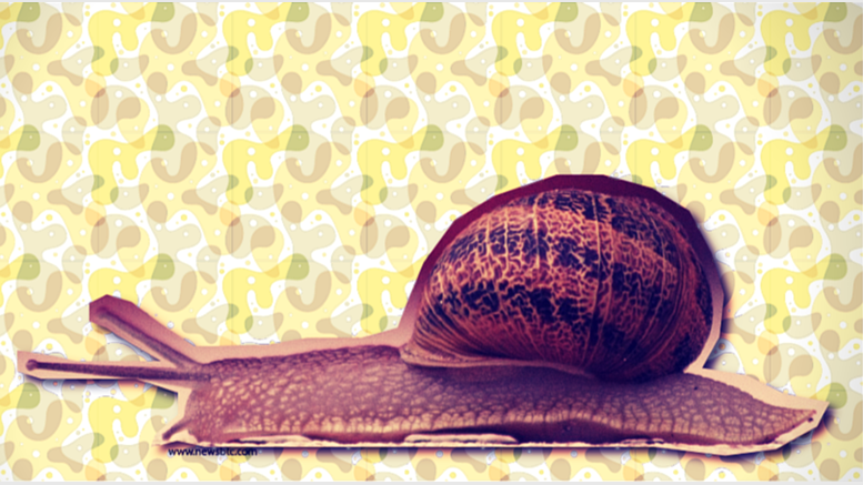 Bitcoin Price Technical Analysis for 24/4/2015 - Slow Drift