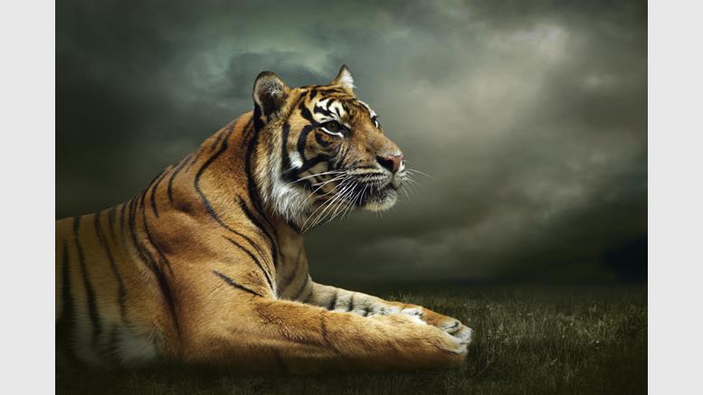 TigerDirect Canada Teases Bitcoin Adoption