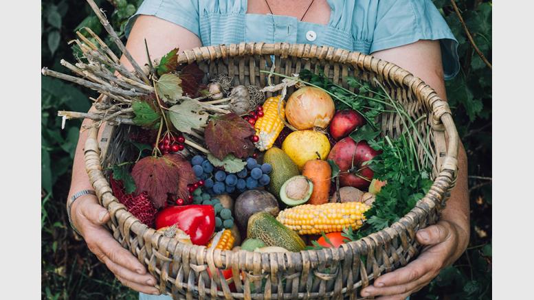 How Provenance is Channeling the Blockchain for Social Good