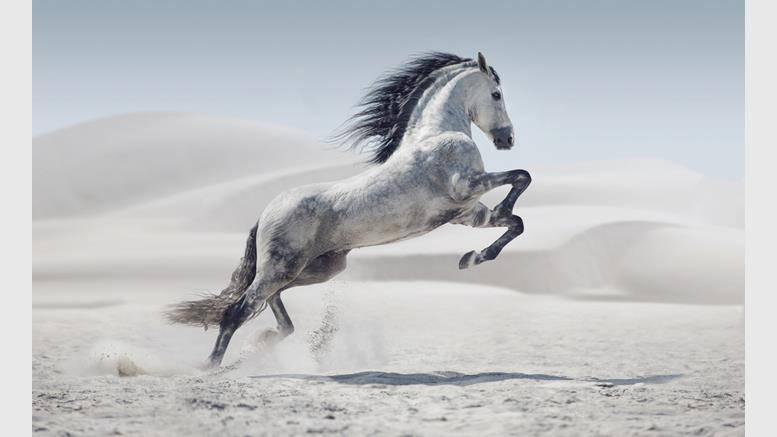Newsflash: Bitcoin Price Leaps $40 to Touch $369 Today