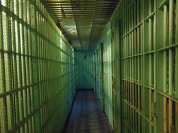 Prosecutors Using Murder-for-Hire Plots Against Ross Ulbricht in Drug Case