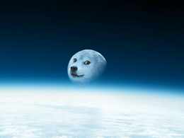 Dogecoin Foundation Discusses Its Legal Restrictions