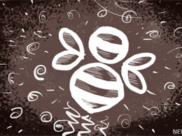 Beewallet: Could It Ace Out Other Bitcoin Apps?