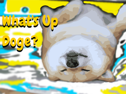 Dogecoin Price Technical Analysis - Risk of Downside Break