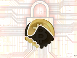 Digital Currency Security: In Bitcoin We Trust?