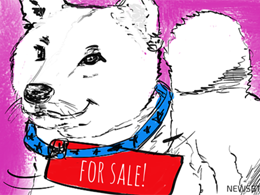 Dogecoin Price Technical Analysis for 02/12/2015 - Selling Rallies?