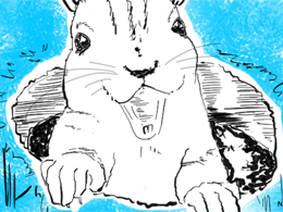 Neucoin Price Technical Analysis for 16/12/2015 - Break and Retest