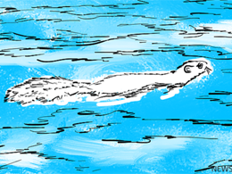 Neucoin Price Technical Analysis for 15/12/2015 - Going with the Flow?