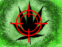 Potcoin Price Technical Analysis - Final Target Achieved