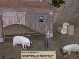 Dragons.tl: Make a Meal for Pigs and Earn Bitcoin