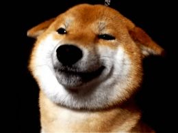 This Week In Dogecoin: What You Missed