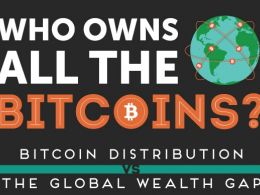 Who Owns All the Bitcoins - An Infographic of Wealth Distribution