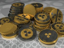 Jesse Powell's Fiery Response to Ripple Labs Accusations