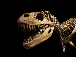 Bitcoin Faces Extinction Without Core Development Competition