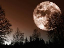 Bitcoin Price Ranging In Coyote Country