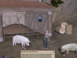 Dragon’s Tale – Feed the Pigs, Stuff them and get rewards