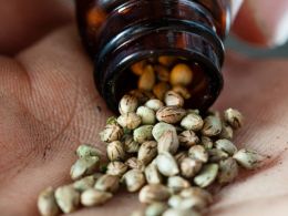A Sober Look at the Silk Road amid Changing Drug Laws