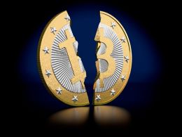 Bitcoin Wallets Vulnerable To Opt-in Replace-by-fee Double Spend Attacks