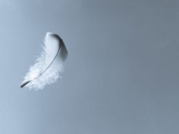 Bitcoin Price Wings Cut By Market