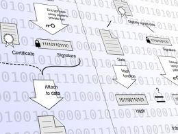 Seven Questions to Make Sense of Craig Wright's Signature Proofs