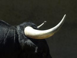 Bitcoin Price Analysis: Bullish The Only Option?