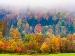 Vermont Says Blockchain Record-Keeping System Too Costly