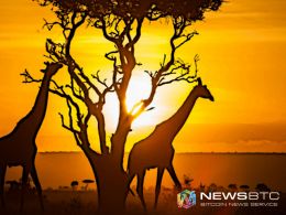 Kenya Not in a Hurry to Adopt Digital Currency: Governor, Central Bank
