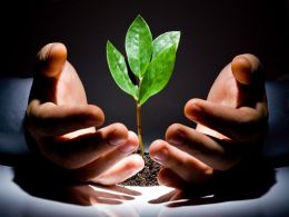 Augur Core Developer Joey Krug Becomes Thiel Fellow