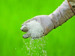 Urea-lly Fell For It? UroCoin Dissapears Down the Drain