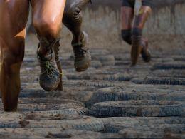 Alternative Ethereum Blockchain Gains Support as Price Declines