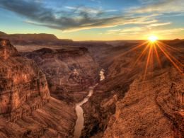 Bitcoin Price – Behold The Coyote Bear