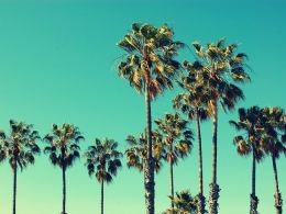 Is California Set to Get Its Own BitLicense?