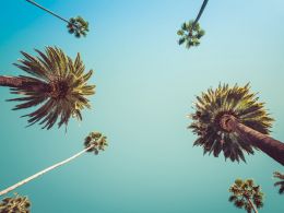 California Lawmaker Shelves Bitcoin Legislation