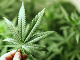 The Legal Marijuana Industry Needs Bitcoin Badly