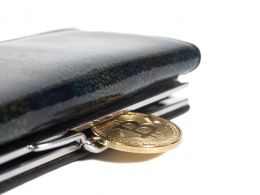 Indian Bitcoin Wallet Zebpay Looks to Raise $5 Million in Funding