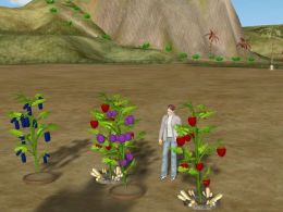 Visit Dragon’s Tale and Grow some Berries to earn Bitcoin