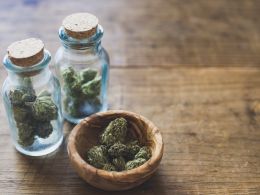 This Company Uses Bitcoin Blockchain For Medical Marijuana DNA Sequencing
