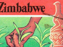 BitMari’s Farmers Accelerator Program Aims to “Decolonize African Agricultural Economies”