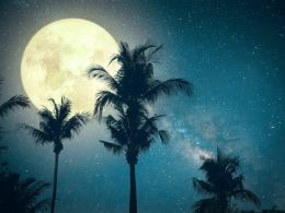 Was the Bitcoin White Paper Intentionally Published on Halloween?