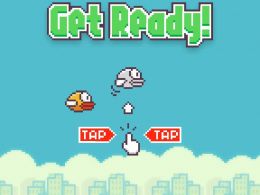 Flappycoin Community In Disarray