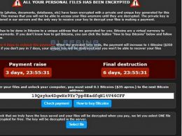 Hackers Adopt SaaS Model to Support Bitcoin Ransomware Schemes